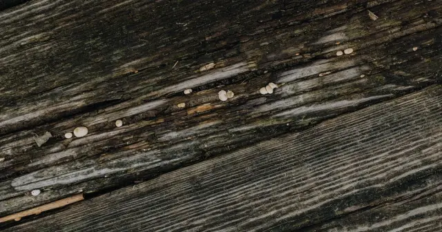 1200x630